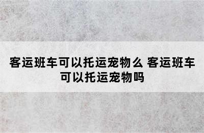 客运班车可以托运宠物么 客运班车可以托运宠物吗